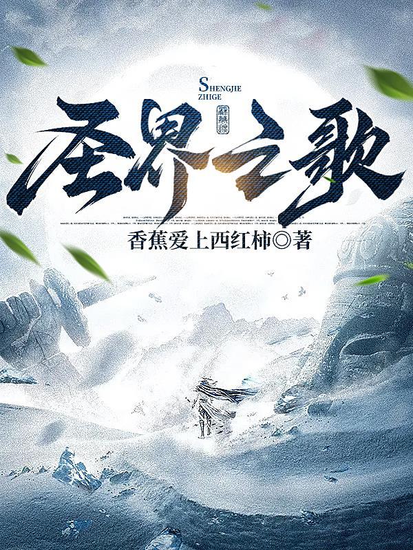 圣界之上是什么界