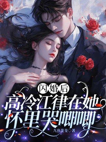 闪婚高冷总裁