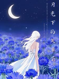 月光下的田