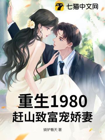 重生八十年代致富经