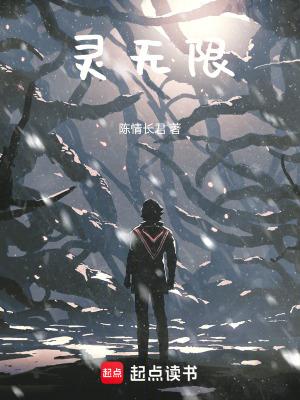 灵纹空间[无限