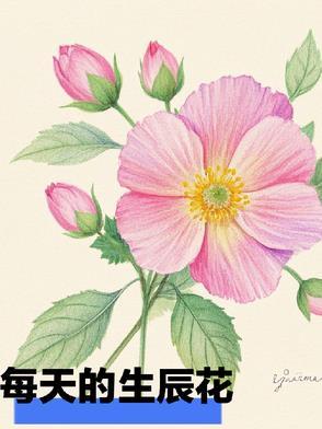 生辰花花语