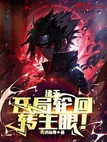 诸天轮回盘是哪部