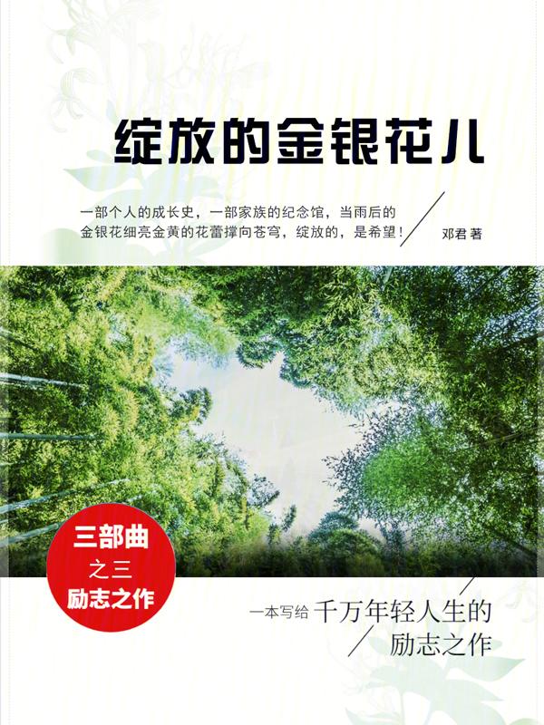 金花开了银花开是什么
