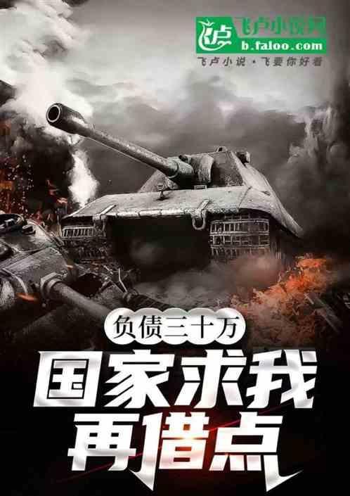 当你负债30万的时候