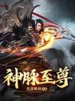 神脉至尊免费阅读神脉至尊