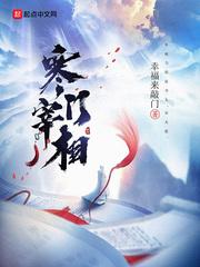 寒门宰相笔趣阁无防盗