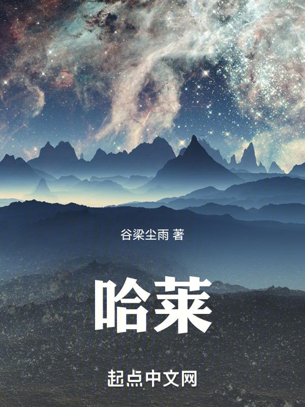 哈莱姆河