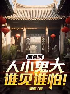 四合院 大小