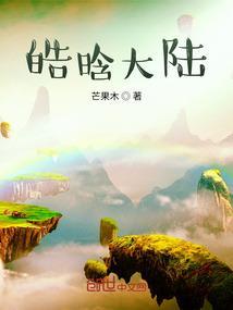 皓皓播单