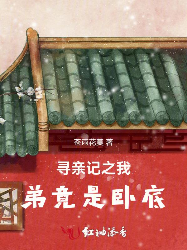 寻亲记之我弟竟是卧底免费阅读
