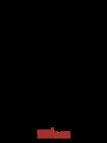主宰十杀