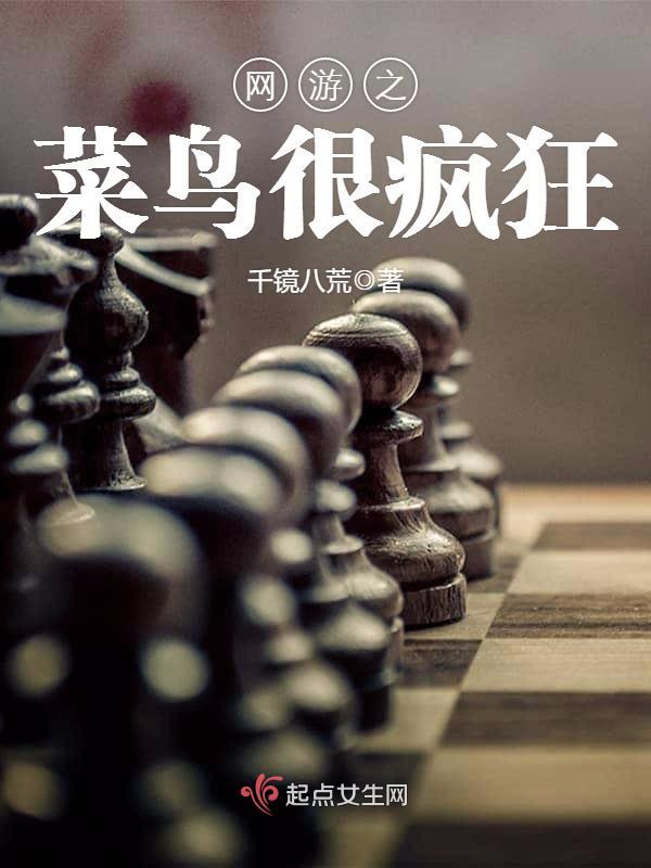 网游之菜鸟玩家全文阅读