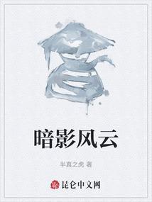 暗影风云电视剧