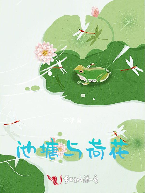 池塘荷花蜻蜓写几句话