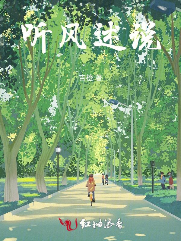 听风述说雨的经过