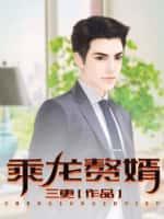乘龙赘婿短剧免费观看高清