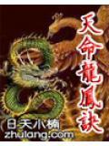 天命龙图官网