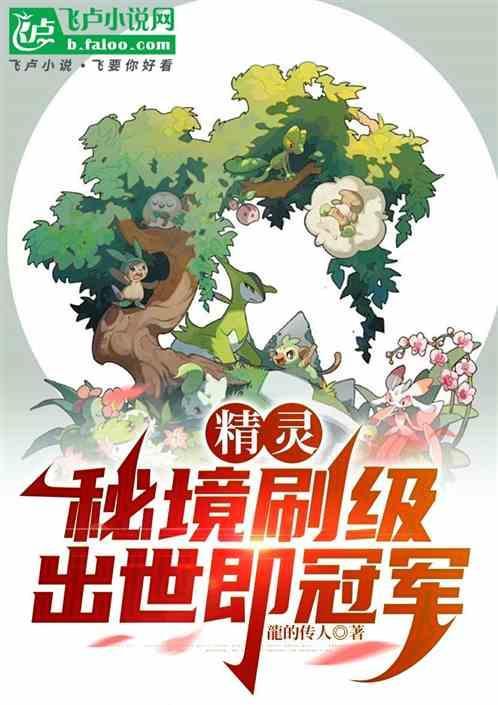 精灵秘锭