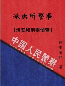 派出所属于治安吗