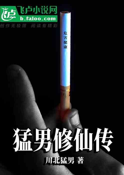 猛男装修中文版