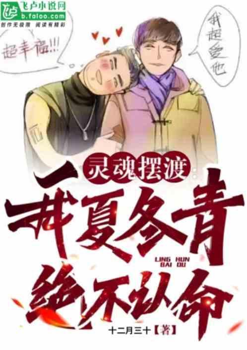 灵魂摆渡夏冬青是谁