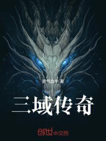 三域科技有限公司