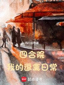 四合院我的逗禽日常作者风行远舟