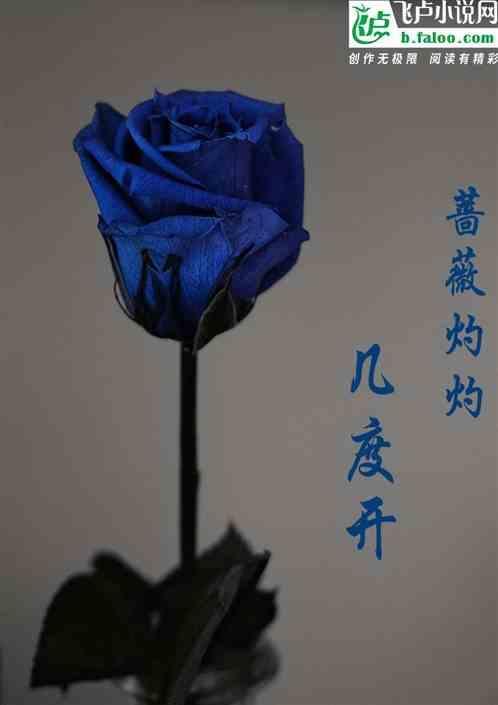蔷薇燎乱