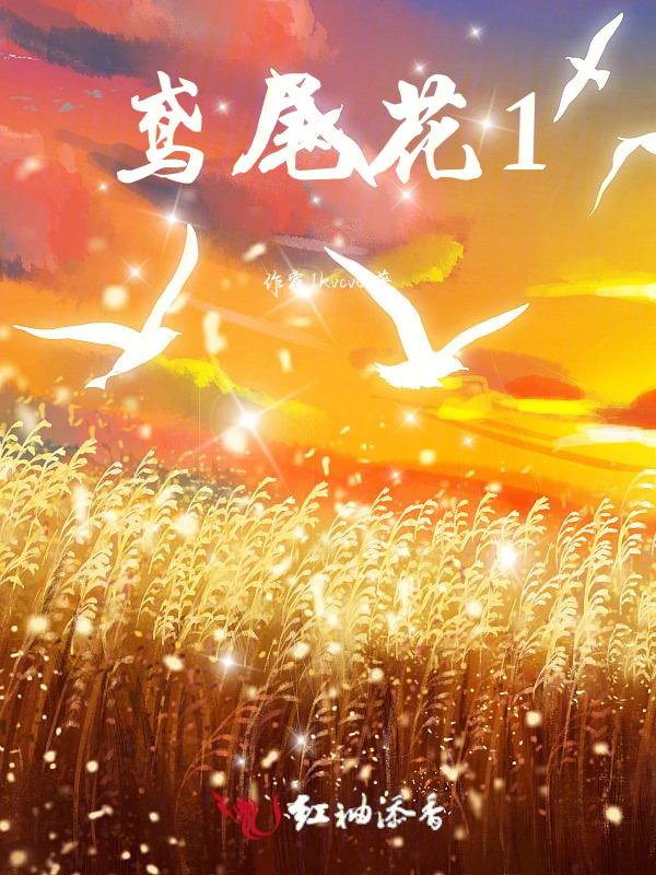 鸢尾花11月初可以移栽成活吗