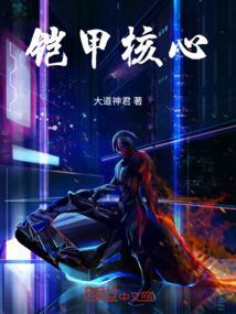 铠甲-s1