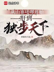 从山寨npc到大boss 笔趣阁