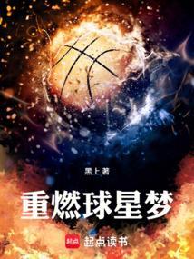 重燃球星梦大结局是什么
