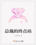 总裁的全部
