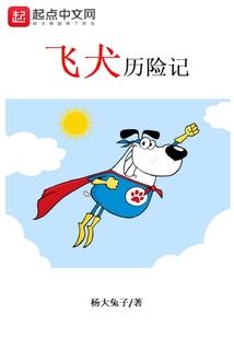 飞犬公司