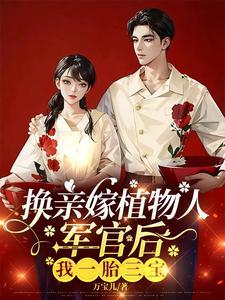 重生军嫂娇宠令