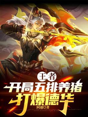 王者荣耀英雄抱歉对不起怎么调
