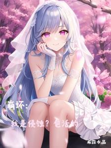 崩坏侵蚀之键